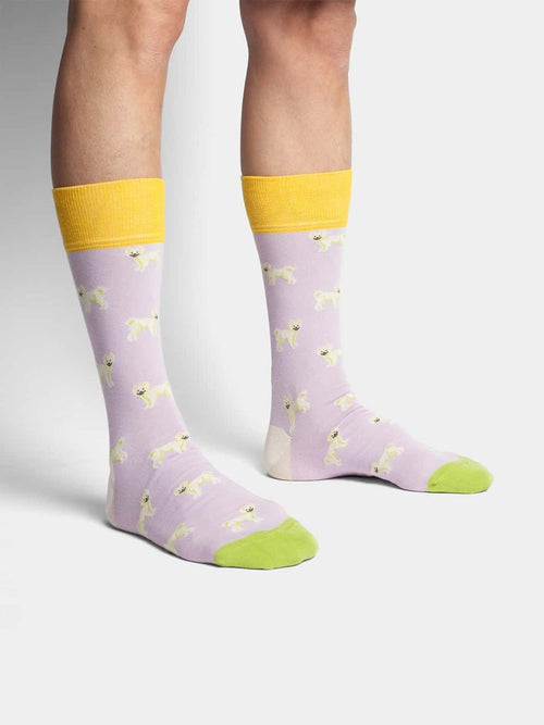 Dilly Socks Notre Chaussettes: Smiling Dog