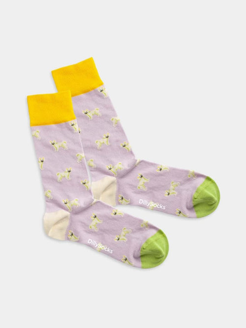 dilly socks Notre Chaussettes: Smiling Dog