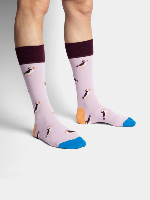 Dilly Socks Notre Chaussettes: Special Bird