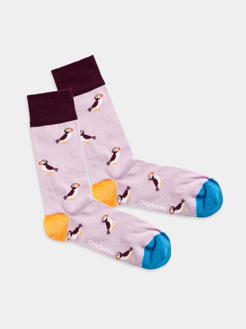 dilly socks Notre Chaussettes: Special Bird