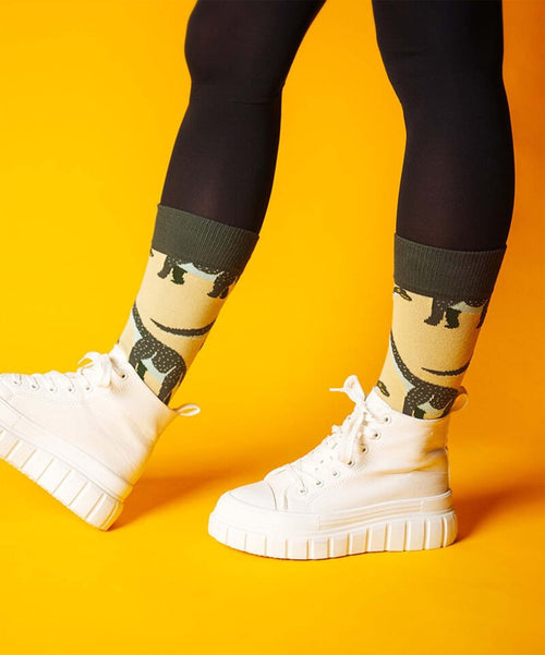 Dilly Socks Notre Chaussettes: Stone Age Dino