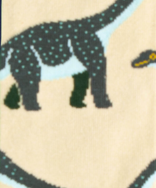 Dilly Socks Notre Chaussettes: Stone Age Dino