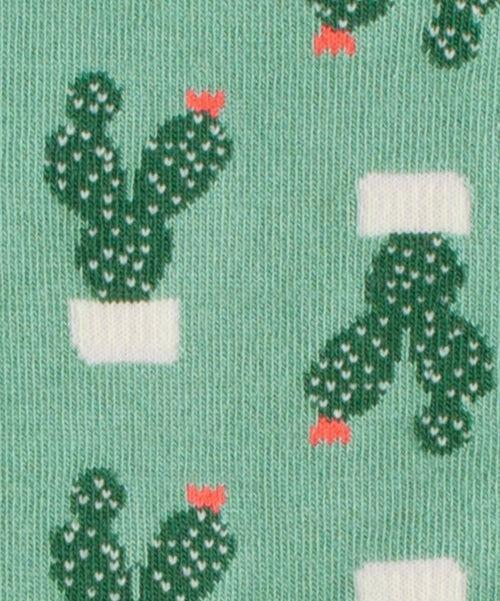 Dilly Socks Notre Chaussettes: Succulent
