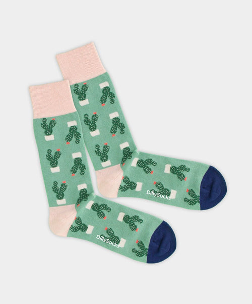 dilly socks Notre chaussettes: Succulent