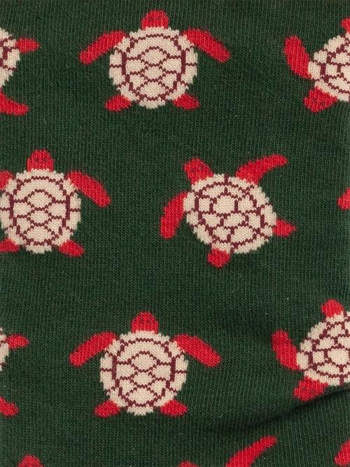 Dilly Socks Notre Chaussettes: Turtle Love