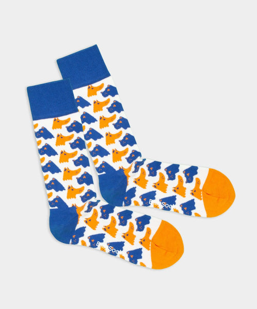 dilly socks Notre chaussettes: Two-Faced Dog