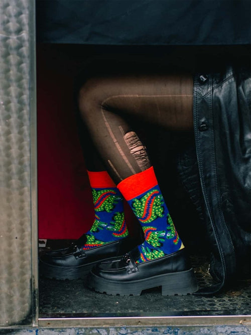 Dilly Socks Notre Chaussettes: Ur Ex The T Rex