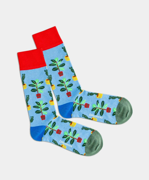dilly socks Notre chaussettes: Water Plants
