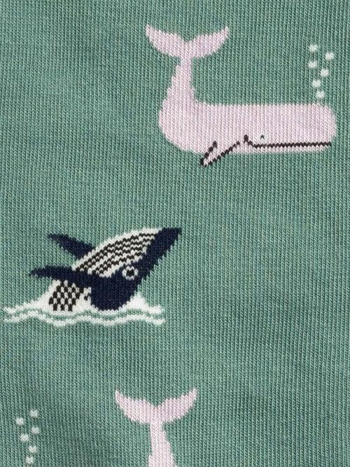 Dilly Socks Notre Chaussettes: Whale Party