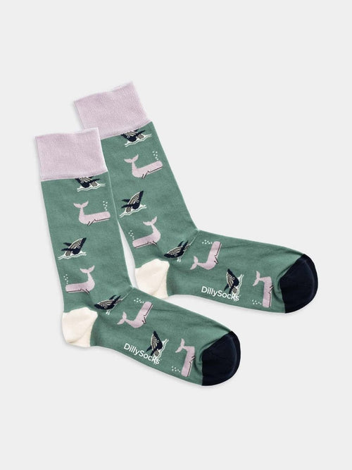 dilly socks Notre Chaussettes: Whale Party