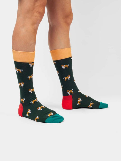 Dilly Socks Notre Chaussettes: Who Let The Dogs Out