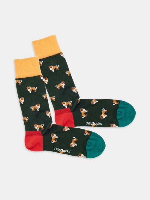 dilly socks Notre chaussettes: Who Let The Dogs Out