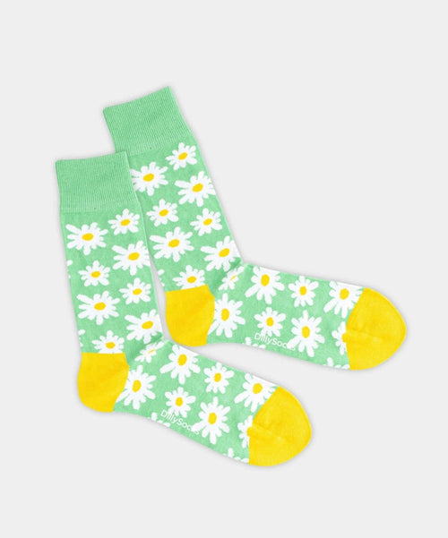 dilly socks Notre chaussettes: Wildflower Park