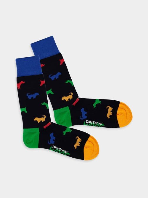 dilly socks Notre Chaussettes: Woofing Around