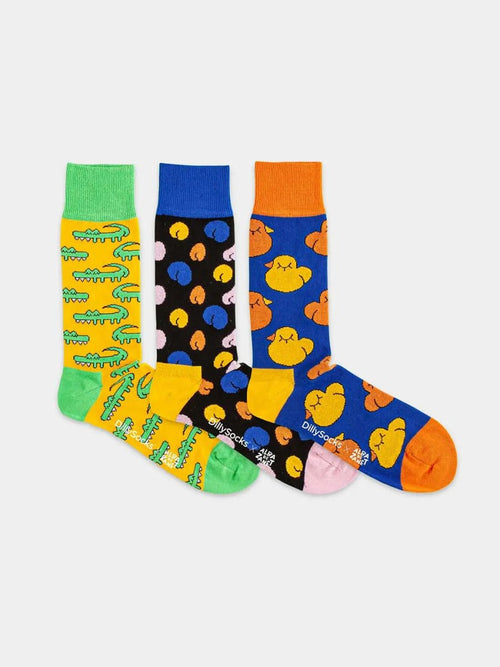 Dilly Socks Notre Coffrets Cadeaux: Alba De Zanet