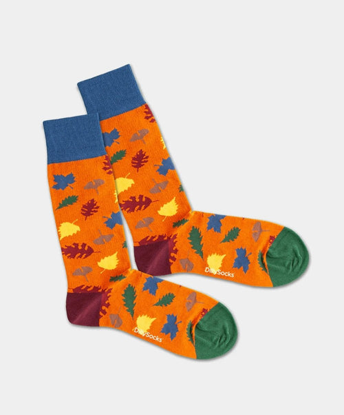 Dilly Socks Notre Coffrets Cadeaux: Into The Wild
