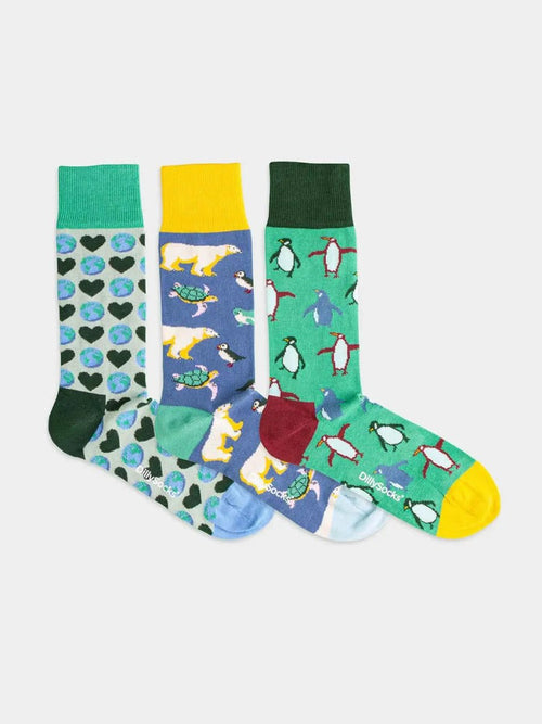 Dilly Socks Notre Coffrets Cadeaux: Klimabox