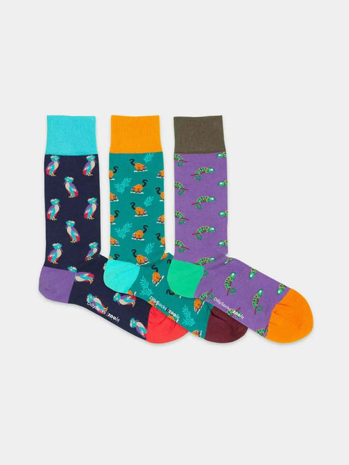 Dilly Socks Notre Coffrets Cadeaux: Masoala Box