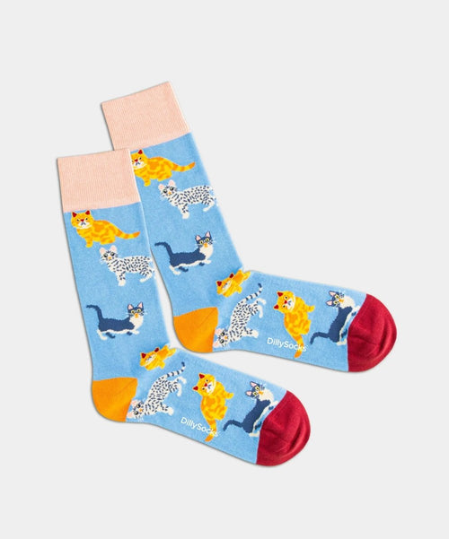 Dilly Socks Notre Coffrets Cadeaux: Pets Pack