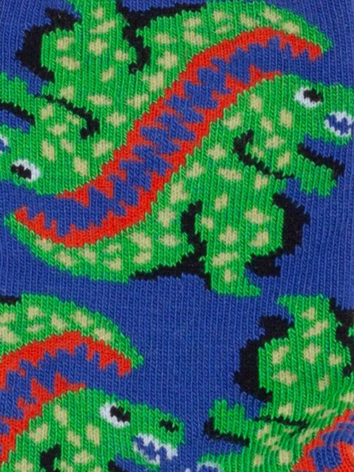 Dilly Socks Notre Chaussettes Antidérapantes Pour Enfants: Lil Ur Ex Le T Rex Antidérapant