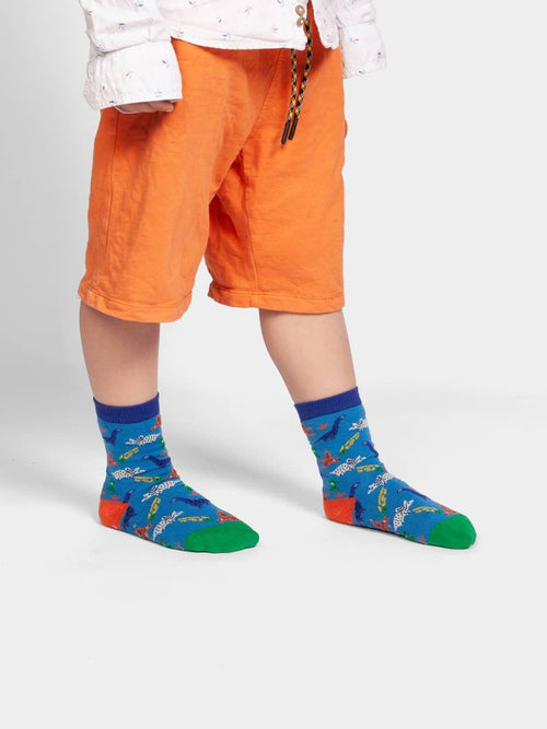 Dilly Socks Notre Chaussettes Antidérapantes Pour Enfants: Lil Dinosaurs Superstars Antidérapant