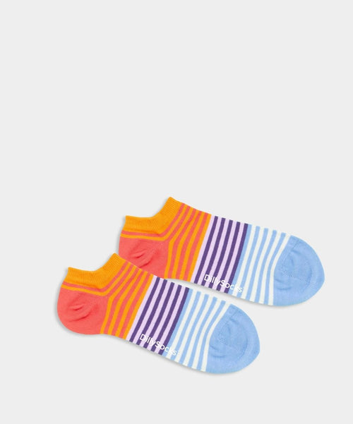 Dilly Socks Notre Chaussettes De Sneakers: Short Four Ward