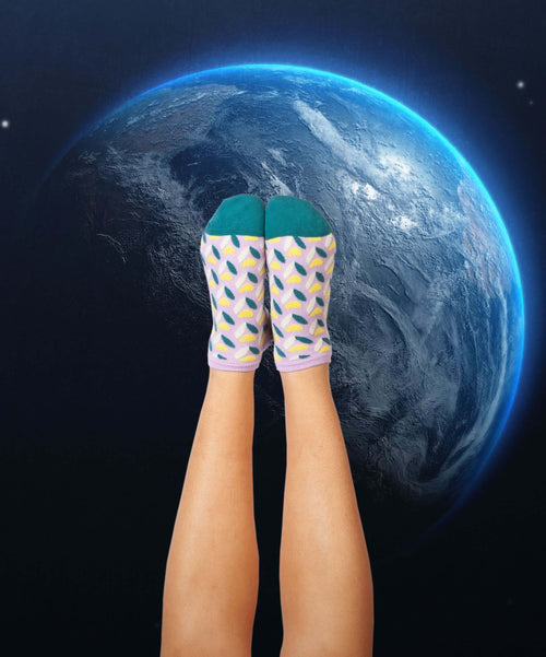 Dilly Socks Notre Chaussettes De Sneakers: Short Sauce Hollandaise