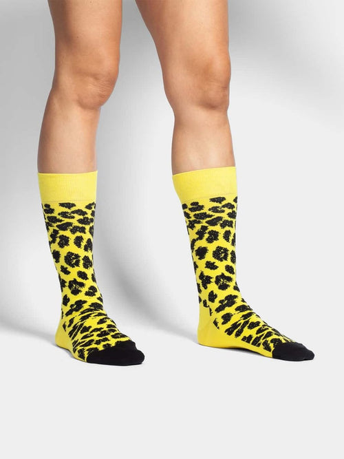 Dilly Socks Notre Chaussettes: Locarno Film Festival