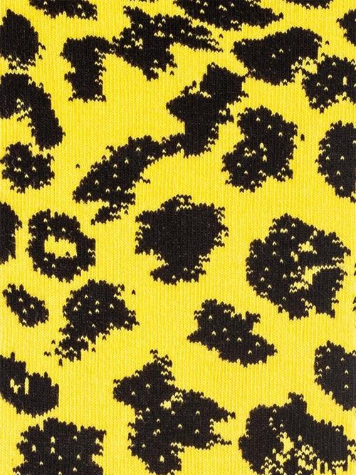 Dilly Socks Notre Chaussettes: Locarno Film Festival