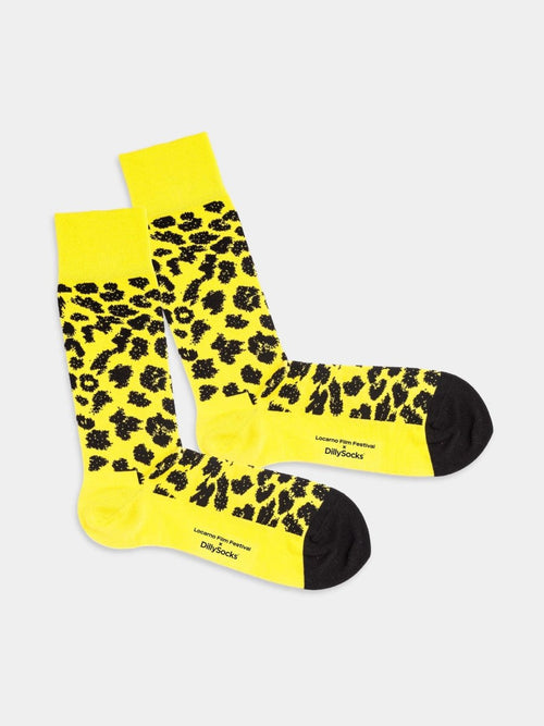 dilly socks Notre Chaussettes: Locarno Film Festival