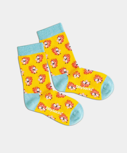 dilly socks Notre chaussettes pour enfants: Frau Eichhörnchen