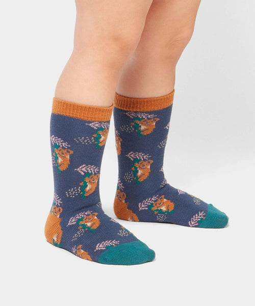 Dilly Socks Notre Chaussettes Pour Enfants: Lil Comfy Koala