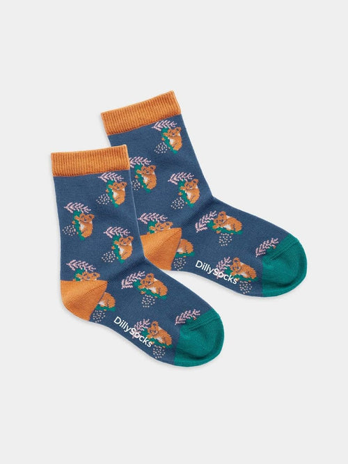 dilly socks Notre chaussettes pour enfants: Lil Comfy Koala