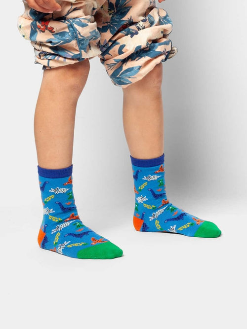 Dilly Socks Notre Chaussettes Pour Enfants: Lil Dinosaurs Superstars