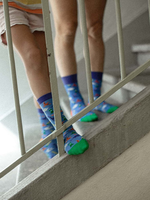 Dilly Socks Notre Chaussettes Pour Enfants: Lil Dinosaurs Superstars