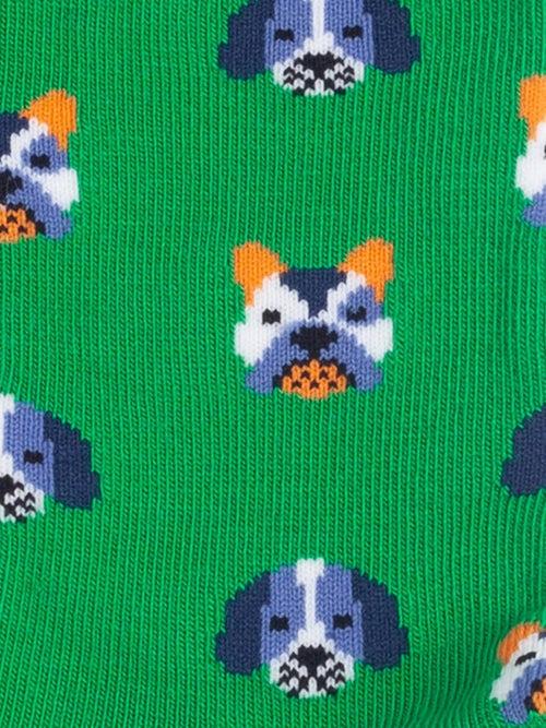 Dilly Socks Notre Chaussettes Pour Enfants: Lil Dog Portraits