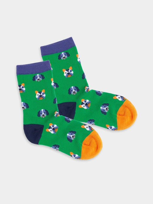 dilly socks Notre Chaussettes pour enfants: Lil Dog Portraits