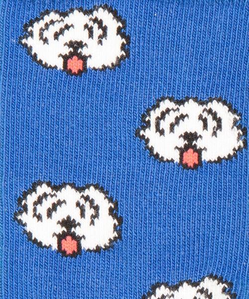 Dilly Socks Notre Chaussettes Pour Enfants: Lil Fido