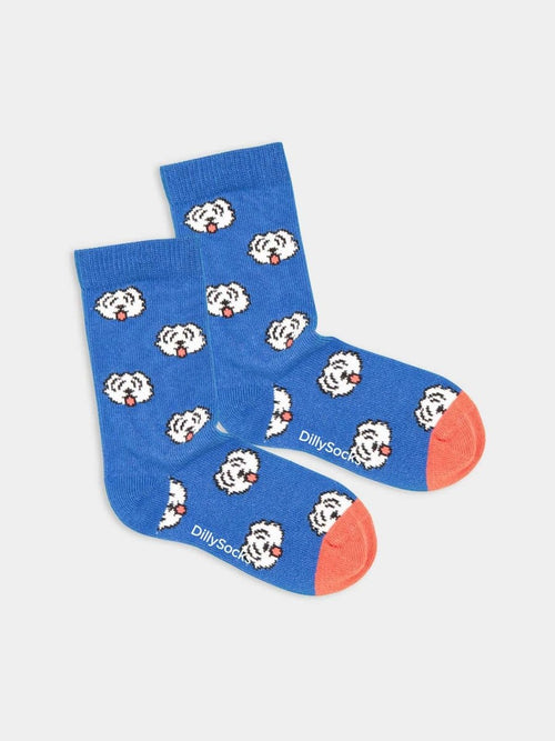 dilly socks Notre chaussettes pour enfants: Lil Fido