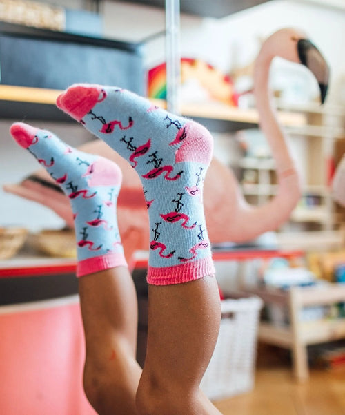 Dilly Socks Notre Chaussettes Pour Enfants: Lil Flamingo