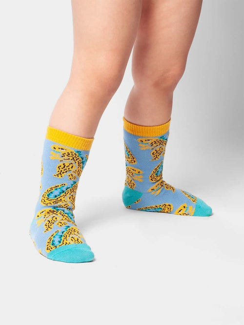 Dilly Socks Notre Chaussettes Pour Enfants: Lil Friendly Gozilla