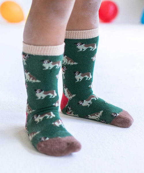 Dilly Socks Notre Chaussettes Pour Enfants: Lil Goose Barry