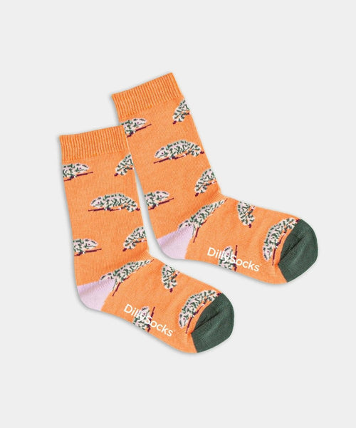 dilly socks Notre chaussettes pour enfants: Lil Karmeleon