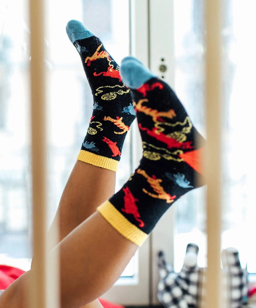 Dilly Socks Notre Chaussettes Pour Enfants: Lil Kitty