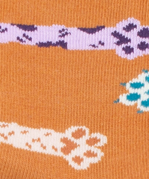 Dilly Socks Notre Chaussettes Pour Enfants: Lil Pawsitive