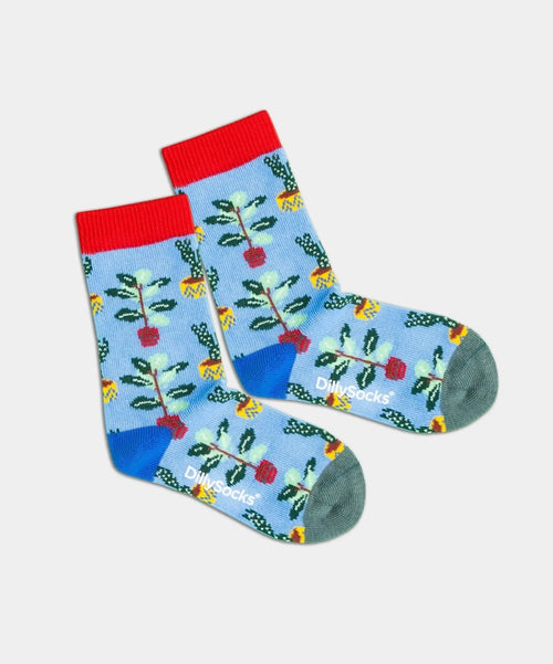 dilly socks Notre chaussettes pour enfants: Lil Pottery