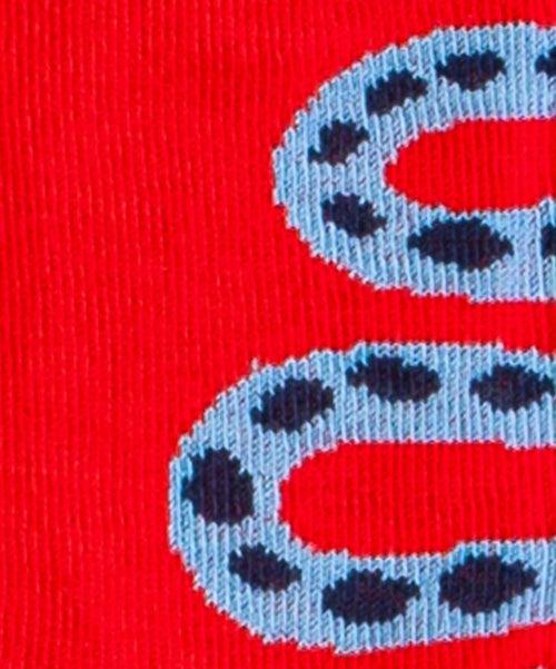 Dilly Socks Notre Chaussettes Pour Enfants: Lil Rattle Snake