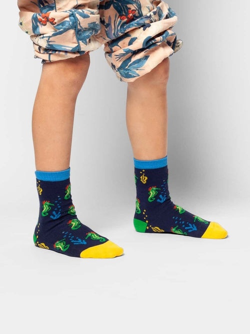 Dilly Socks Notre Chaussettes Pour Enfants: Lil Seahorse Story