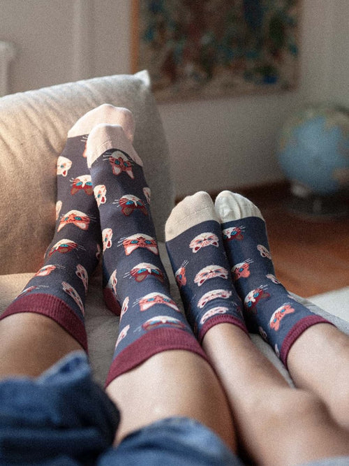 Dilly Socks Notre Chaussettes Pour Enfants: Lil Sky Kitten