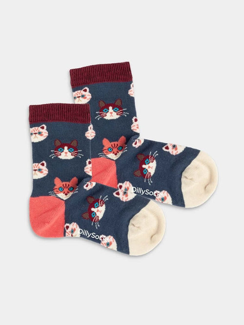 dilly socks Notre Chaussettes pour enfants: Lil Sky Kitten